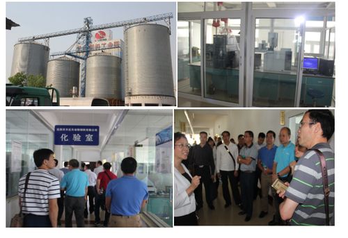 广东养猪行业协会携手会员单位探索东北民办培训机构合作新路径